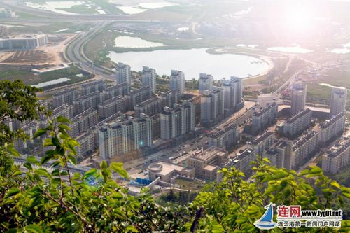 連云港西墅村 特色產(chǎn)業(yè)讓 小漁村 變 小康村