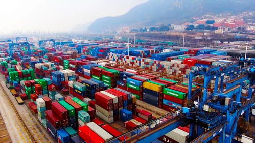 連云港港 暢通航線運輸通道 構(gòu)建高質(zhì)量物流網(wǎng)絡(luò)