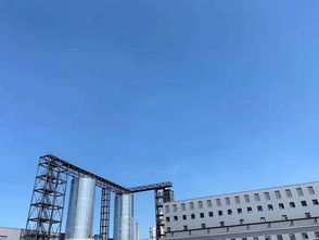 連云港博威增碳劑新廠投產(chǎn)