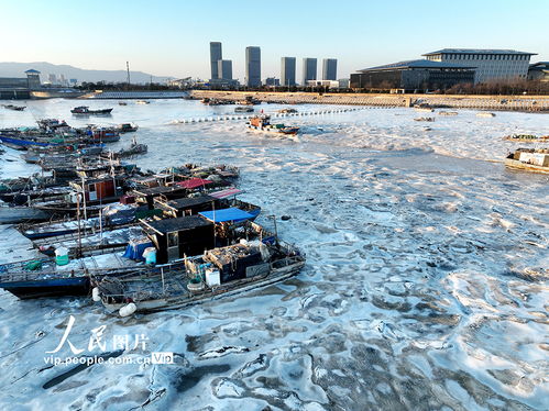 江蘇連云港強寒潮來襲，海岸現大面積冰凌奇觀